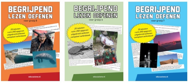 Begrijpend Lezen Oefenen - Bureau Bijles