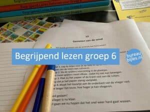 Begrijpend Lezen Groep 6 Oefenen - Bureau Bijles