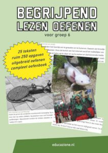 Begrijpend Lezen Oefenen Voor Groep Bureau Bijles