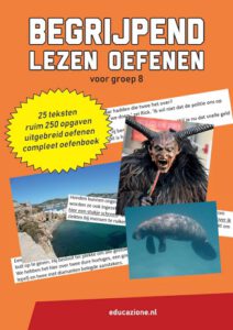 Begrijpend Lezen Oefenen Voor Groep 8 Bureau Bijles